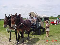 2007 Parade winner